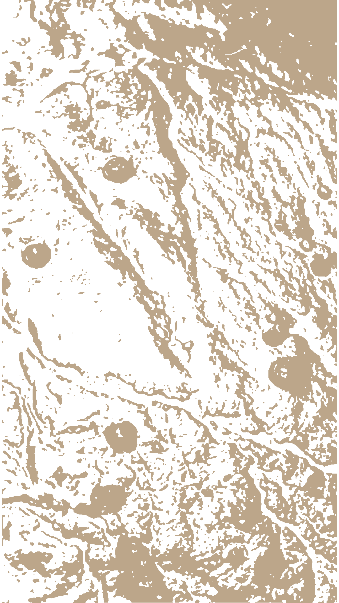 Textured abstract art featuring swirling black and beige patterns, resembling a rugged landscape or marbled stone. The tone is intricate and organic.