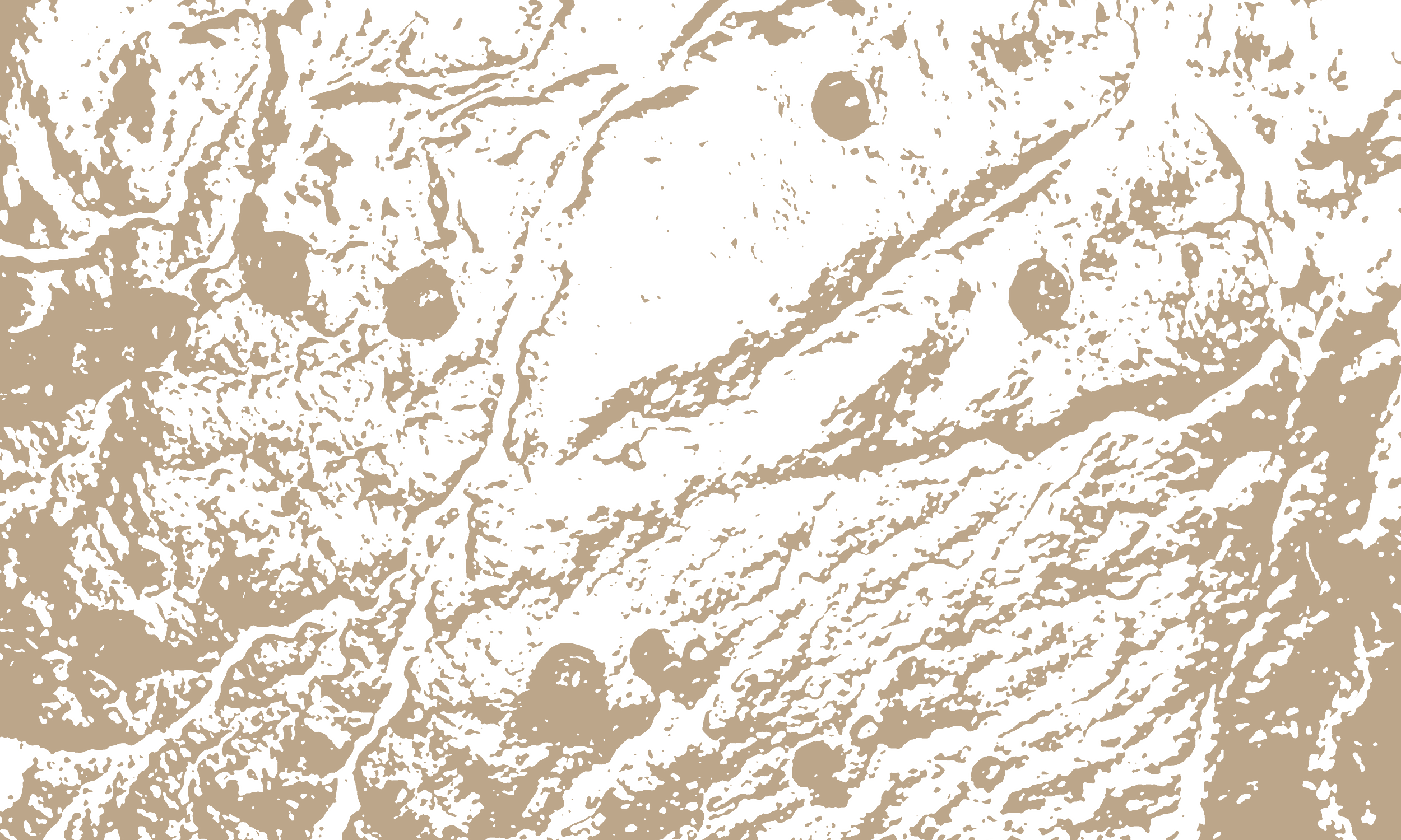 Textured abstract art featuring swirling black and beige patterns, resembling a rugged landscape or marbled stone. The tone is intricate and organic.